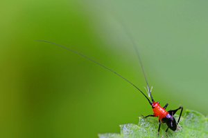 5分钟理解方案设计的本质